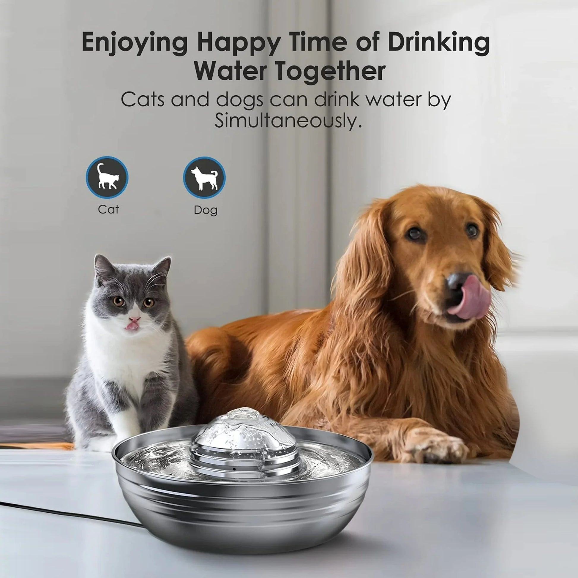 PureFlow™ Stainless Pet Fountain 💧🐾