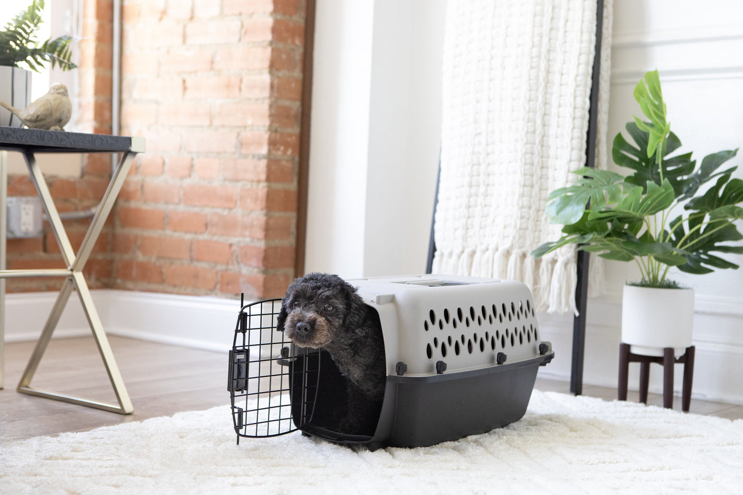 TravelPaw™ Portable Kennel 🐾✈️