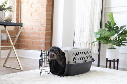 TravelPaw™ Portable Kennel 🐾✈️